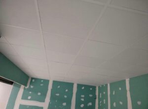 იაფად გიფს კარდონის ხელოსანი