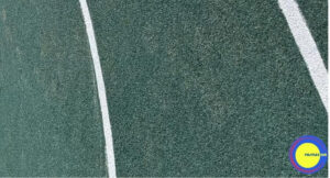 სკვერებში კაუჩუკის დაგება