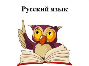ვამზადებ რუსულ ენასა და ლიტერატურაში